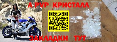 СК Бийск