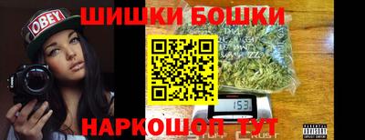 СК Бийск