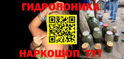 СК Бийск