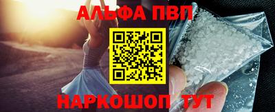 СК Бийск