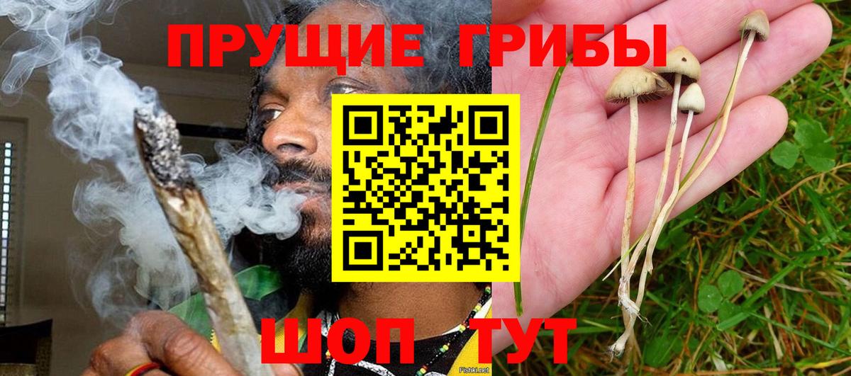 Галлюциногенные грибы Cubensis  Вход с VPN  Шуя 
