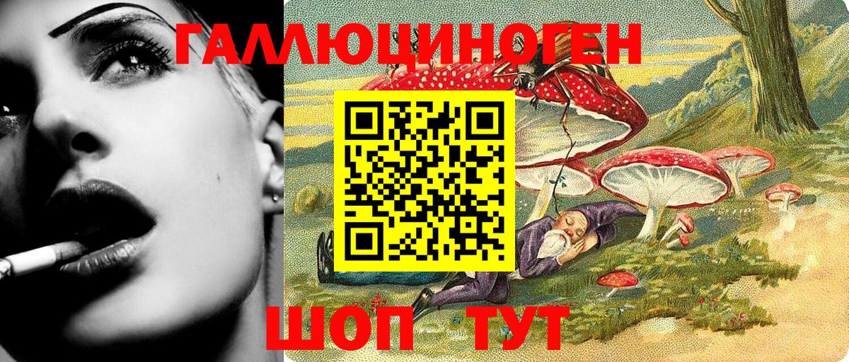 Псилоцибиновые грибы GOLDEN TEACHER Шуя