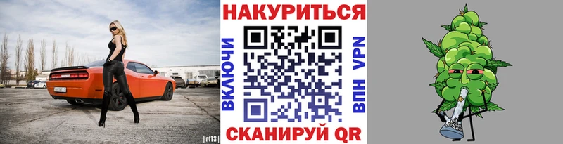 Конопля план  купить закладку  Шуя 
