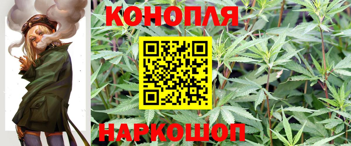 Бошки Шишки OG Kush  Шишки марихуана планчик  Шуя  Вход с VPN  Шишки марихуана план 